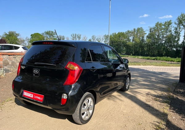 Kia Picanto cena 19999 przebieg: 171000, rok produkcji 2014 z Maków Podhalański małe 352
